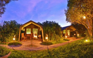 Explorer Shamwari [320x200]